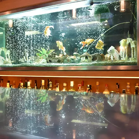 伊斯坦科酒店 3*
